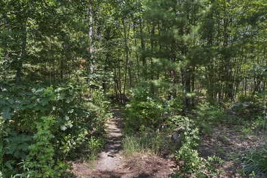 Set on a beautiful tree-lined street in Alden's Walk, this - photo 45