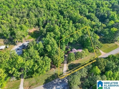 This beautiful 4 bedroom, 2 bath home sits on 1 +/- Acre - photo 48