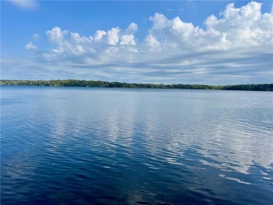 Lake Home For Sale in Windemere Twp, Minnesota