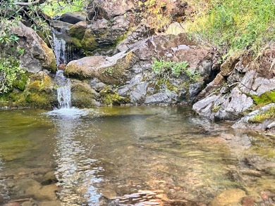 80 Acres with a 50 gpm well, a blue line stream, two ponds - photo 3