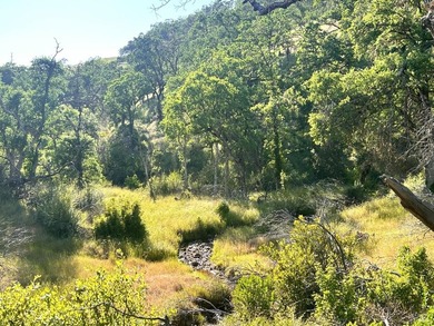 80 Acres with a 50 gpm well, a blue line stream, two ponds - photo 4