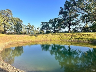 80 Acres with a 50 gpm well, a blue line stream, two ponds - photo 5