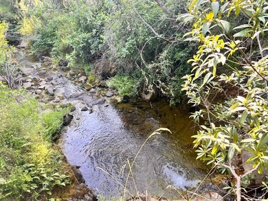 80 Acres with a 50 gpm well, a blue line stream, two ponds - photo 7