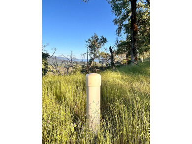 80 Acres with a 50 gpm well, a blue line stream, two ponds - photo 9