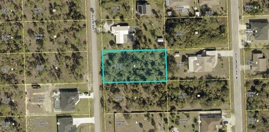 Lehigh Acres Area Lot For Sale in Lehigh Acres Florida