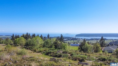 UNOBSTRUCTED salt water views from this 1.21 acre rare flat lot - photo 11
