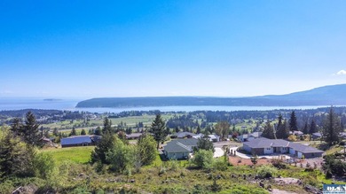UNOBSTRUCTED salt water views from this 1.21 acre rare flat lot - photo 12