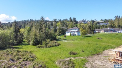 UNOBSTRUCTED salt water views from this 1.21 acre rare flat lot - photo 13