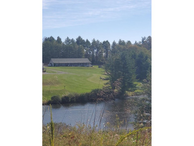 (private lake, pond, coastal) Condo For Sale in Fancy Gap Virginia