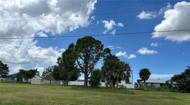 Rare TRIPLE LOT opportunity in Cape Coral's lower NW section! - photo 2