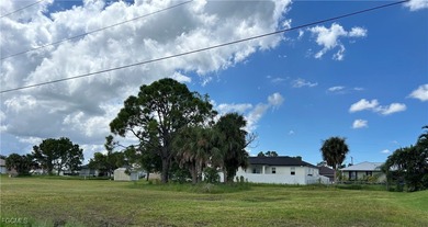 Rare TRIPLE LOT opportunity in Cape Coral's lower NW section! - photo 3
