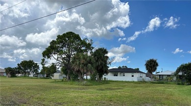 Rare TRIPLE LOT opportunity in Cape Coral's lower NW section! - photo 4
