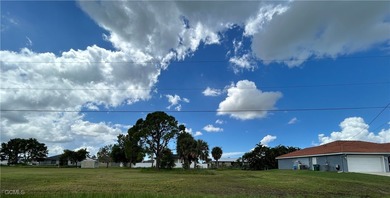 Rare TRIPLE LOT opportunity in Cape Coral's lower NW section! - photo 5