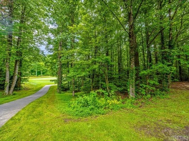 This .75 acre gently sloping golf course lot overlooks #3 green - photo 5
