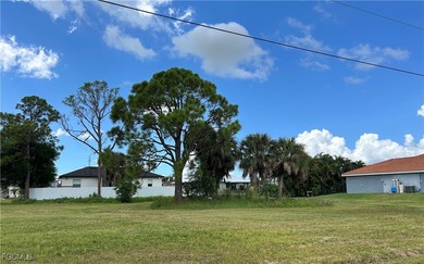 Rare TRIPLE LOT opportunity in Cape Coral's lower NW section! - photo 6
