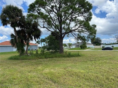 Rare TRIPLE LOT opportunity in Cape Coral's lower NW section! - photo 7