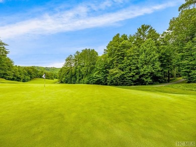 This .75 acre gently sloping golf course lot overlooks #3 green - photo 7