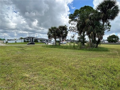 Rare TRIPLE LOT opportunity in Cape Coral's lower NW section! - photo 8
