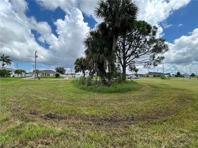 Rare TRIPLE LOT opportunity in Cape Coral's lower NW section! - photo 9