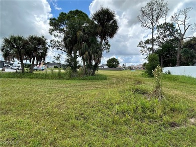 Rare TRIPLE LOT opportunity in Cape Coral's lower NW section! - photo 10
