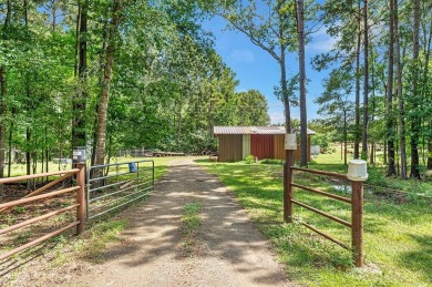 (private lake, pond, creek) Home For Sale in Pineland Texas