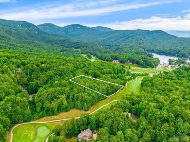 Lake Toxaway Lot For Sale in Lake Toxaway North Carolina