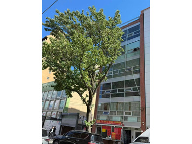 Prime Office Building for Sale in the Heart of Flushing! - photo 2