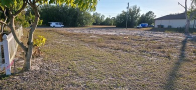 This Commercial is completely cleared. Excellent commercial - photo 3