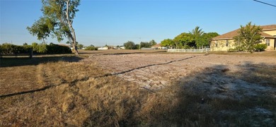 This Commercial is completely cleared. Excellent commercial - photo 4