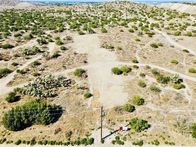 Prime Lot of Land For Sale In West Palmdale. Flat ground zoned - photo 3