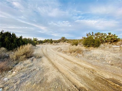 Prime Lot of Land For Sale In West Palmdale. Flat ground zoned - photo 5