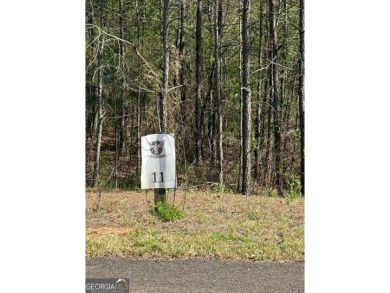 (private lake, pond, creek) Lot For Sale in Ellijay Georgia