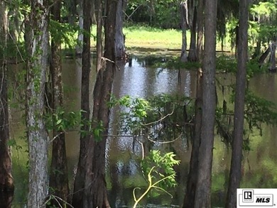 DeSiard Trace is a little different than the average subdivision - photo 2