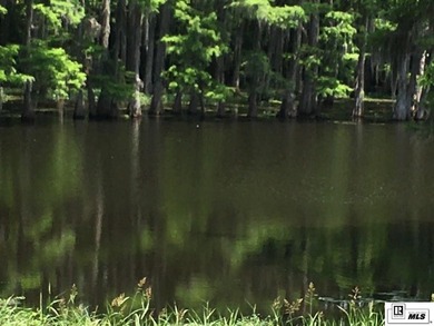 DeSiard Trace is a little different than the average subdivision - photo 3