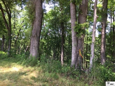 DeSiard Trace is a little different than the average subdivision - photo 4