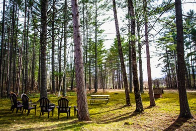 Charming cabin in the Adirondack Mtns. located across the street - photo 3