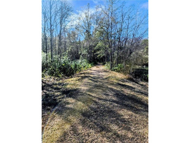 Two Spacious Horse-friendly Lots in West Mobile, AL Here's your - photo 2