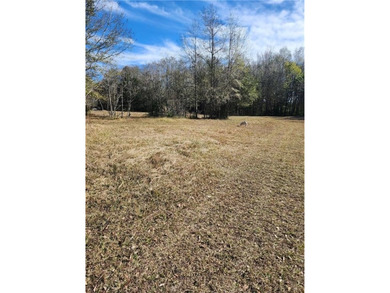 Two Spacious Horse-friendly Lots in West Mobile, AL Here's your - photo 4