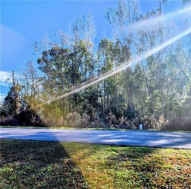 Two Spacious Horse-friendly Lots in West Mobile, AL Here's your - photo 6