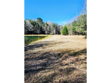 Two Spacious Horse-friendly Lots in West Mobile, AL Here's your - photo 7