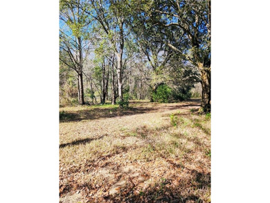 Two Spacious Horse-friendly Lots in West Mobile, AL Here's your - photo 8