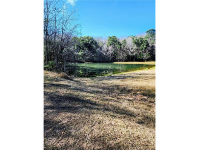 Two Spacious Horse-friendly Lots in West Mobile, AL Here's your - photo 9