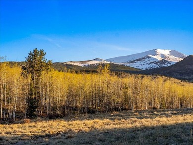 Welcome to Silverheels Ranch, named after Mount Silverheels - photo 11