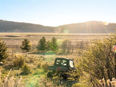 Welcome to Silverheels Ranch, named after Mount Silverheels - photo 12