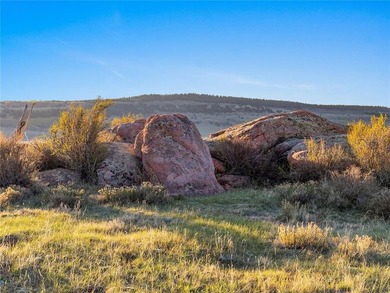 Welcome to Silverheels Ranch, named after Mount Silverheels - photo 13