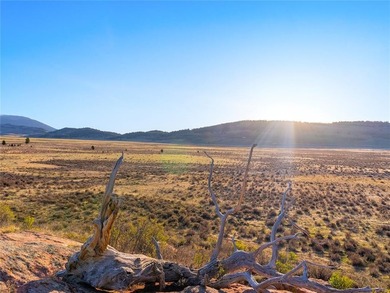 Welcome to Silverheels Ranch, named after Mount Silverheels - photo 14