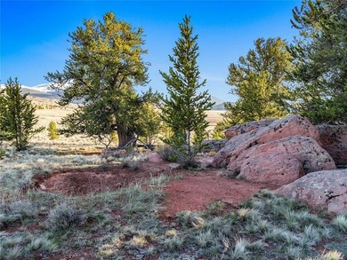 Welcome to Silverheels Ranch, named after Mount Silverheels - photo 15