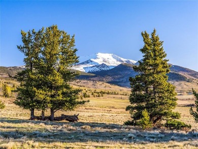 Welcome to Silverheels Ranch, named after Mount Silverheels - photo 16