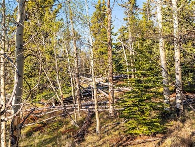 Welcome to Silverheels Ranch, named after Mount Silverheels - photo 17