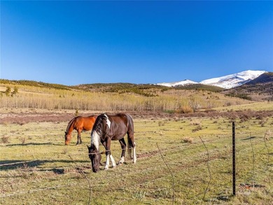 Welcome to Silverheels Ranch, named after Mount Silverheels - photo 19